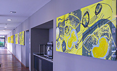 Salus Klinik Hürth - Wandgestaltung Speisesaal - Klinik & Kunst